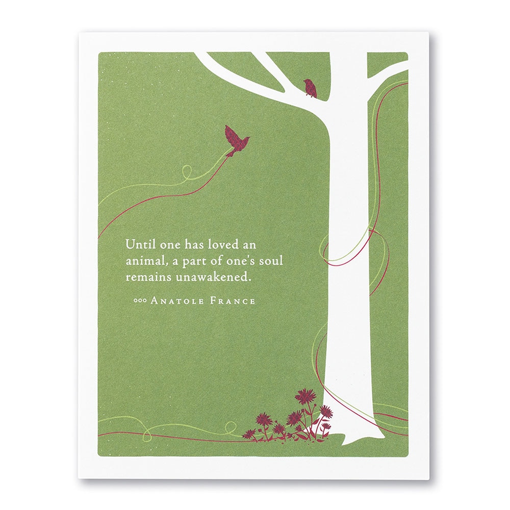 Positively Green, Greeting Card - Sympathy, Gifts, Until One Has Loved An Animal, 90765